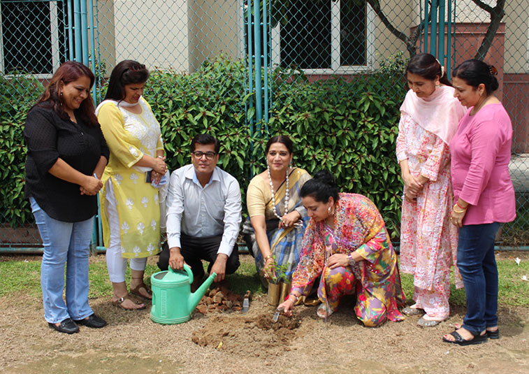 Saffron Felicity Program